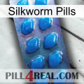 Silkworm Pills viagra1